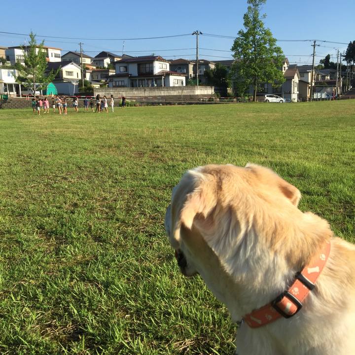 719b44e1 08ee 4fcc b649 d56e8beebbe4