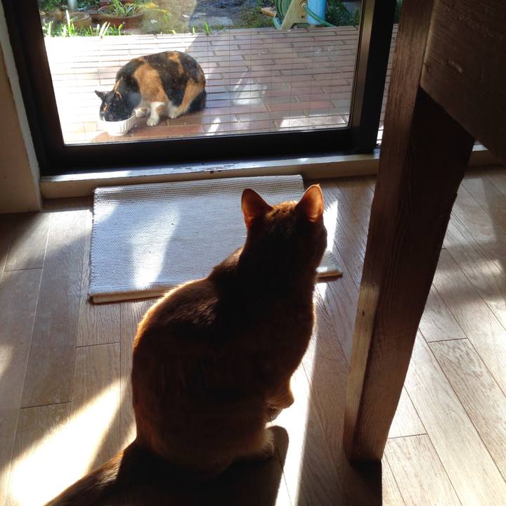 719bb9b5 0c39 438f a8e5 5621d27879bc