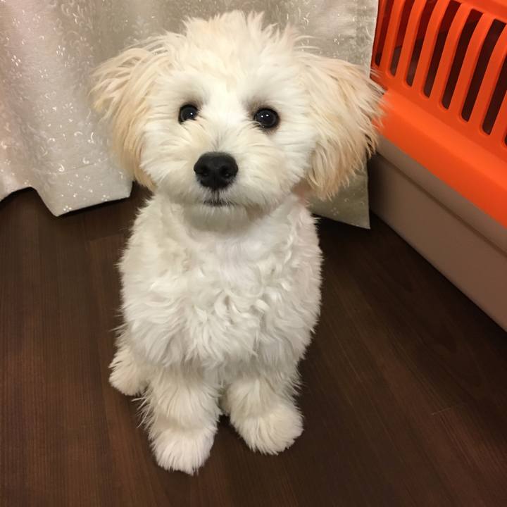 719bdba2 71d6 409a b6f7 5861a514dc9a