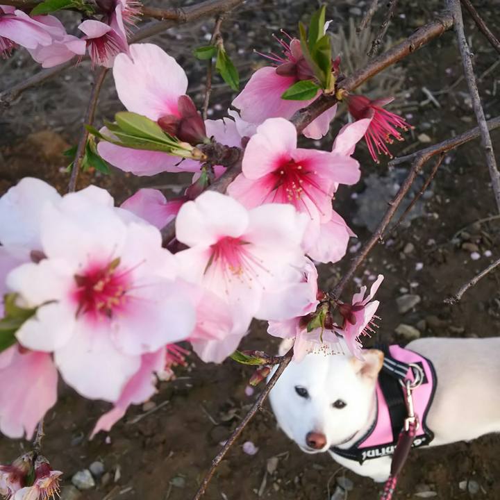 719ccf73 fd71 4da1 92e3 8a9b1979d1bd