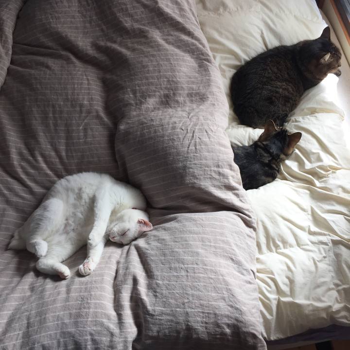 719d01d2 f8da 4d84 a5f6 4bd8f63a6ecc