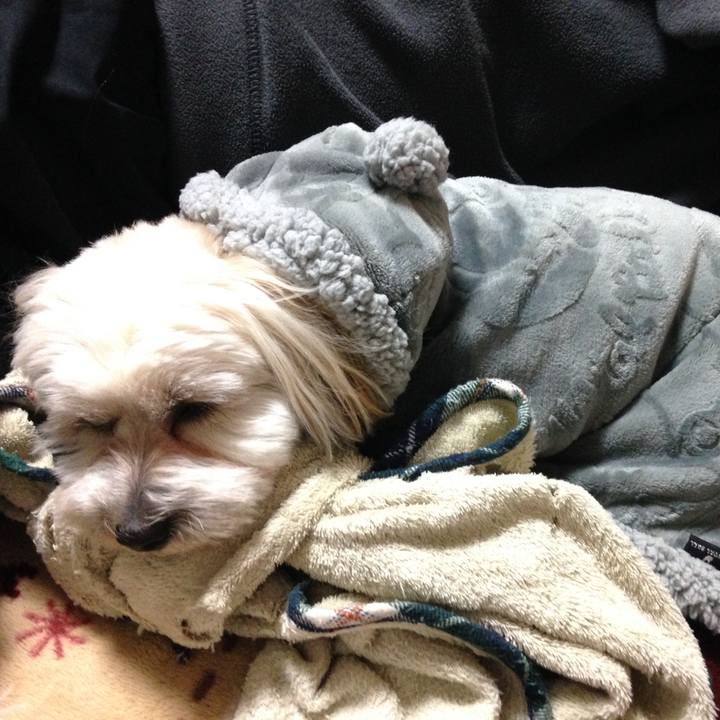 719d7e6f 9864 48b5 b725 535c72c779cf