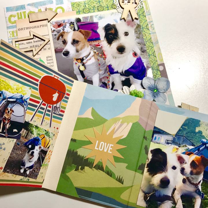 719ea0df 8c40 4d42 a864 d5d5abf61d86