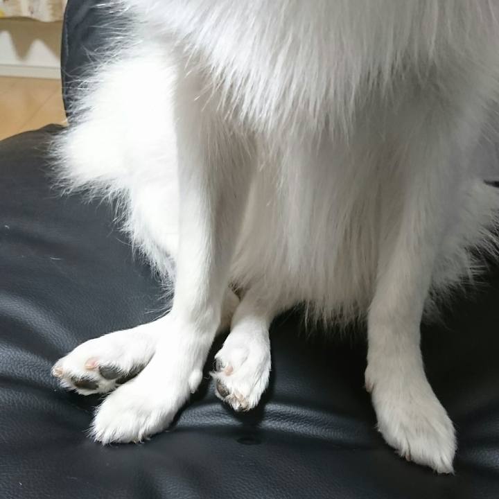 719ea1a0 783b 44ec 9e28 385862368dd8