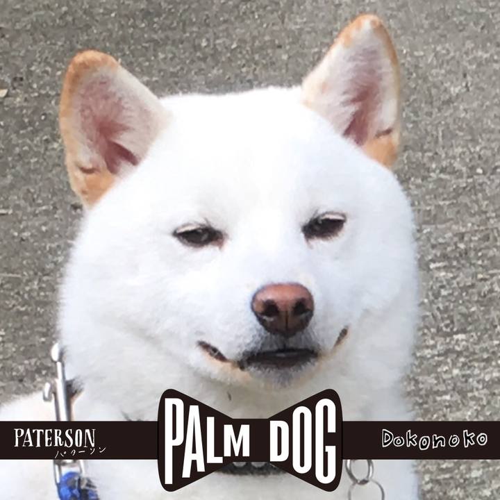 719ef596 83ae 466e b5ff 4df8488571a5