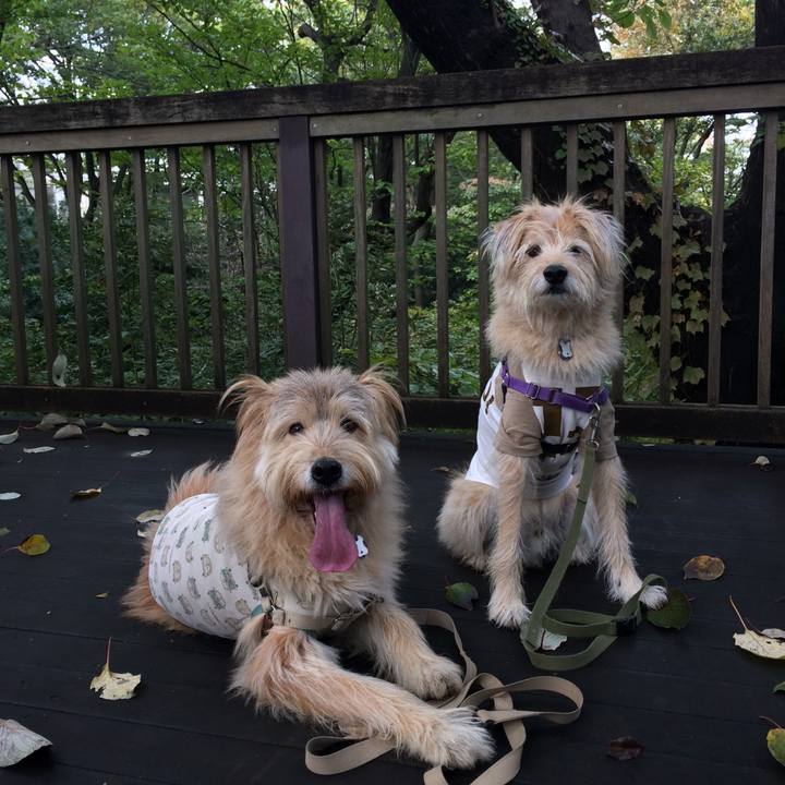 719f2a53 fcc3 44ad 8d5d a9433ceeab82