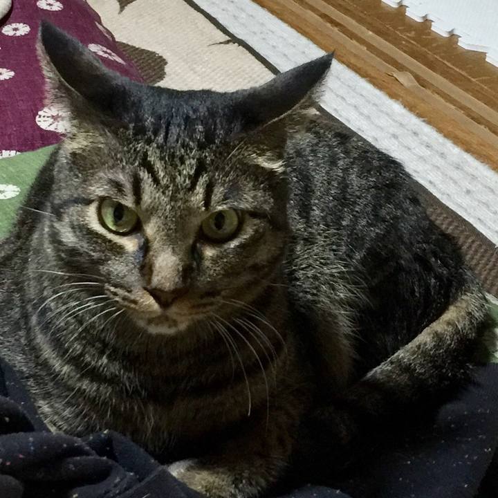 719f7cc1 9931 4e4e 9b80 2dedac341d6b