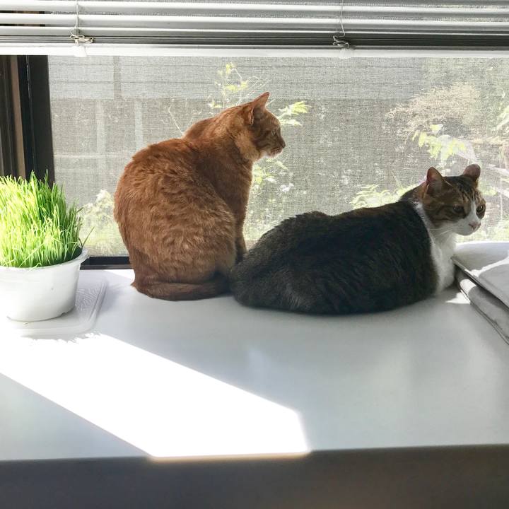 719f995d ed01 40cd 9fbc b750276159ec