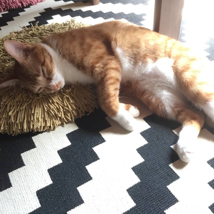 71a0b20d 880a 45d4 aedb a510f625caf3