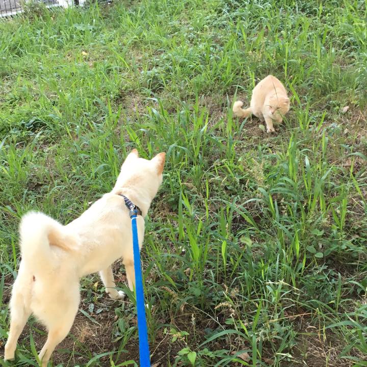 71a0cf1e b7ed 4788 8d0e 7a5cc33295eb