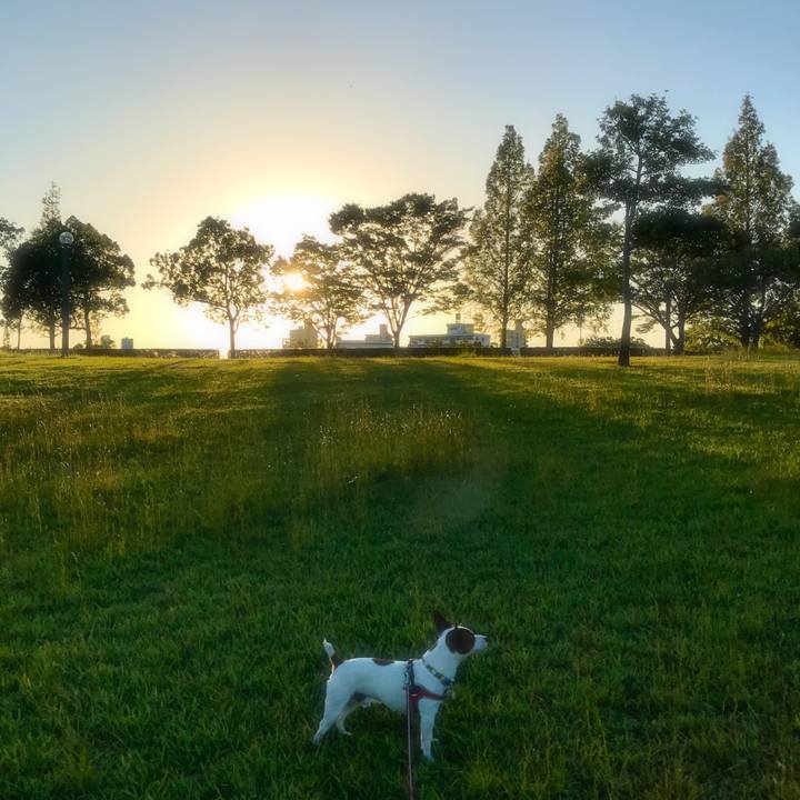 71a0e99f 8629 481a 80ac 3210b58d8389