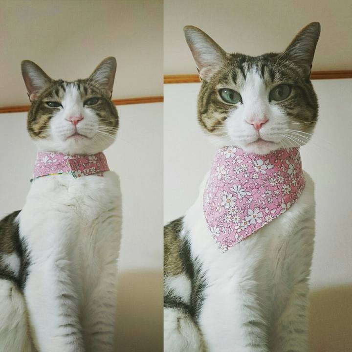 71a183bb 7069 45a5 b89b 4ece1d9dac85