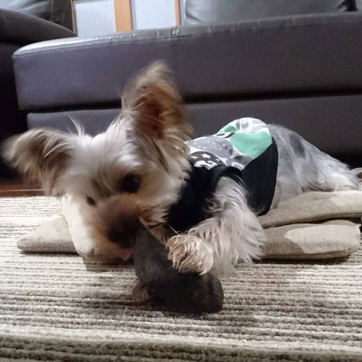 71a19c7c fe92 4e71 8595 102eb85e7266