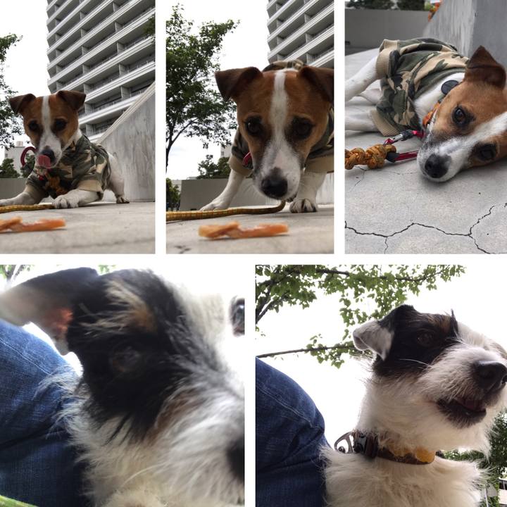 71a26945 3d04 4e03 9012 6350dd4466ae