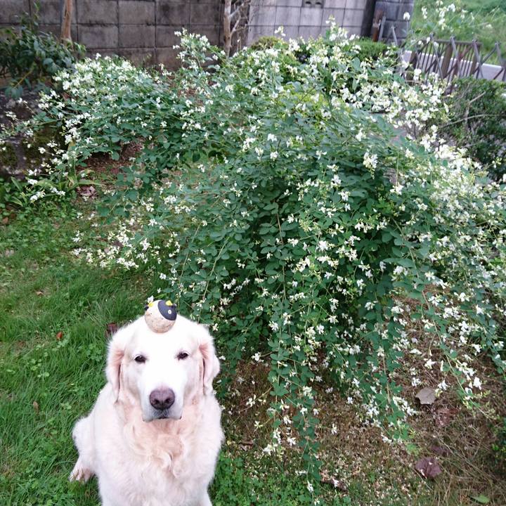 71a334da 0f8e 491f bec8 b07ee1d41bb0