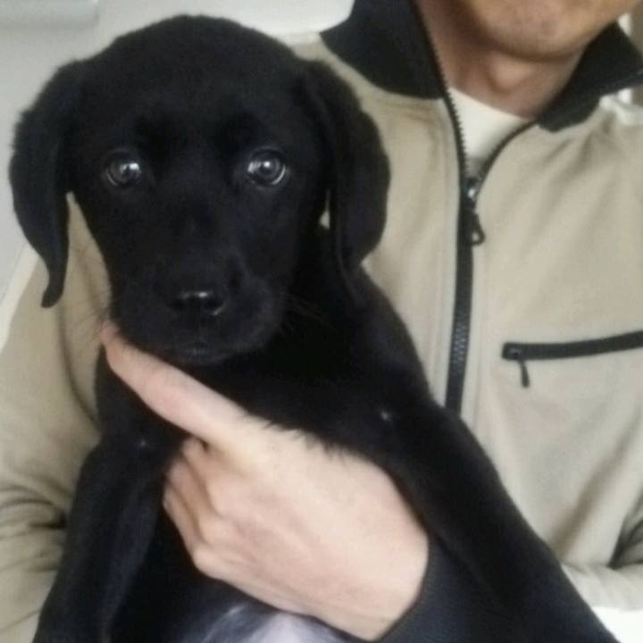 71a38dbd feac 4f5a 94e1 98d17696a63f