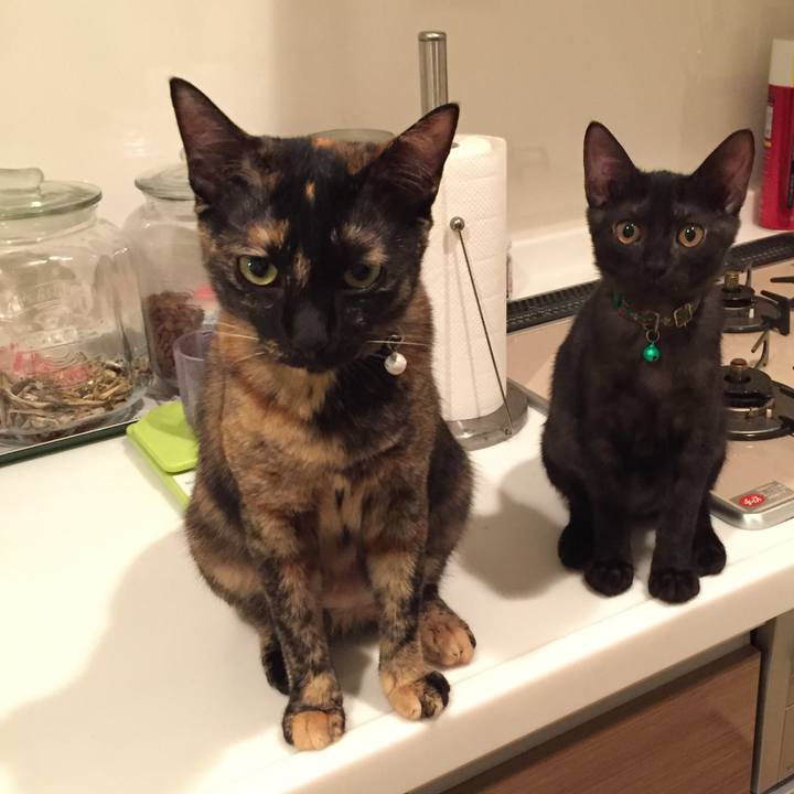 71a3ae24 e242 433b a090 497428da8a32