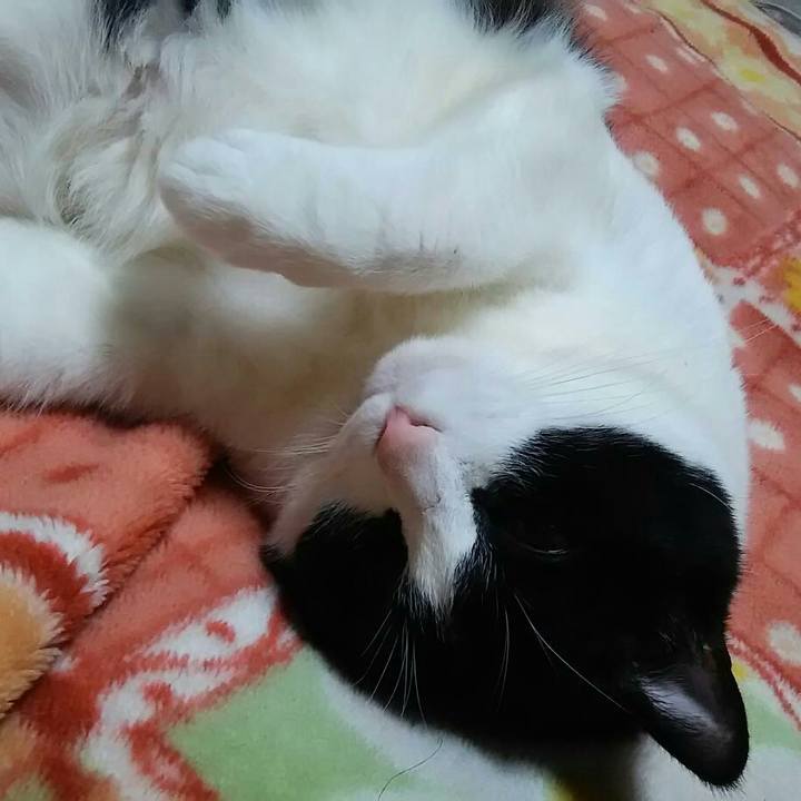 71a40e83 9faf 4528 a6c8 416b3a9ecab2