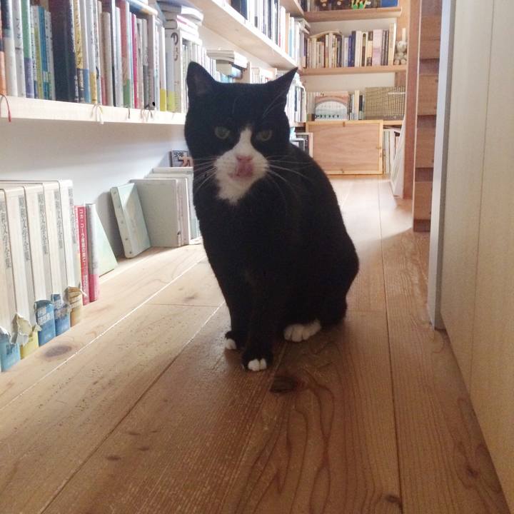 71a43155 f78e 4e4d b0e4 f7877892f3de