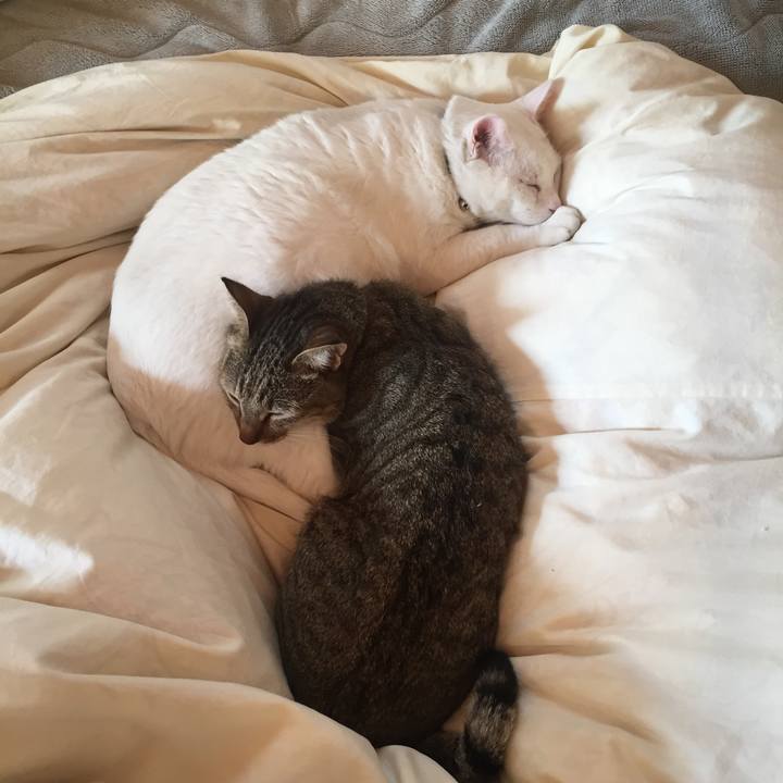 71a45ccb 8e57 4630 b8a0 38eff4663150