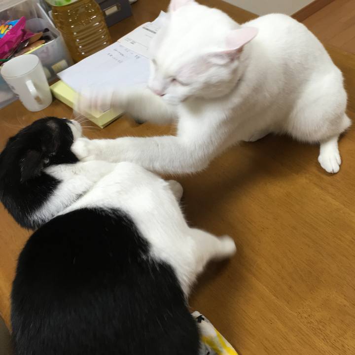 71a46fcc 84ce 46fa b1d0 7b6a03825867