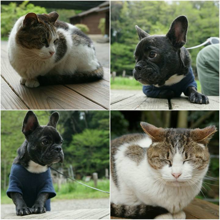 71a47b74 6e78 41f6 9039 594620273217