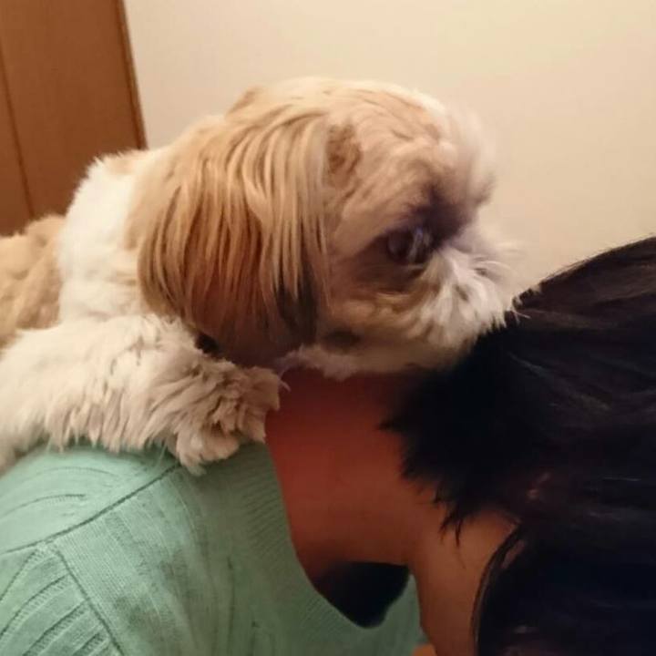 71a53228 14a7 4c5e 8f29 216f55f990fb