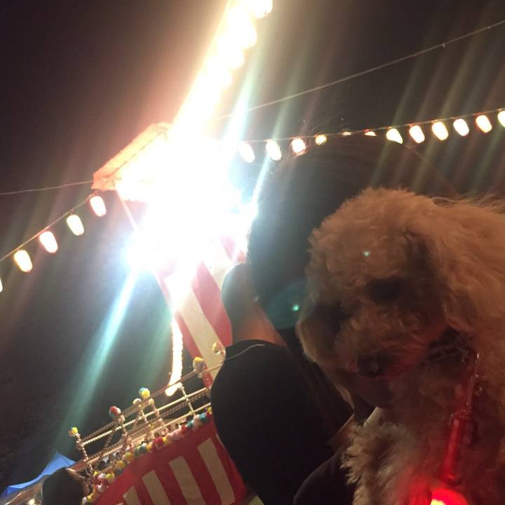 71a54c07 e50e 4e62 befa 2ab9bc340614