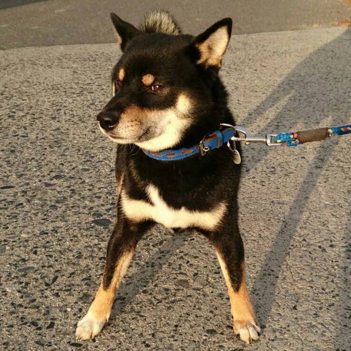 71a578c4 59bf 463f a2e0 a8d577e3342f