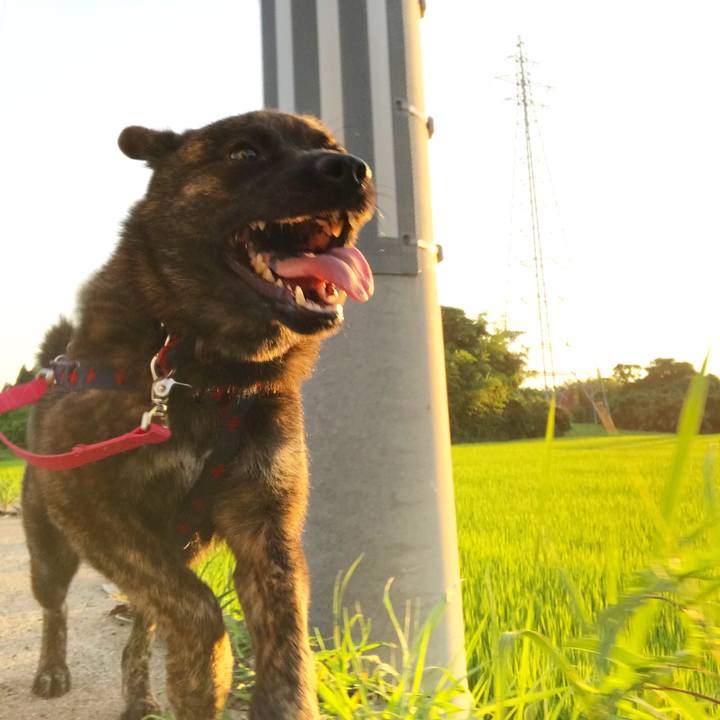 71a5b687 0418 4e53 8cb5 e92df9f3bf0a