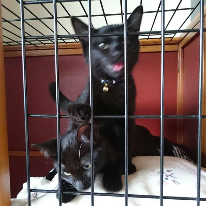 71a5bf40 4190 48d1 8cf9 b7dbd9c1a74f