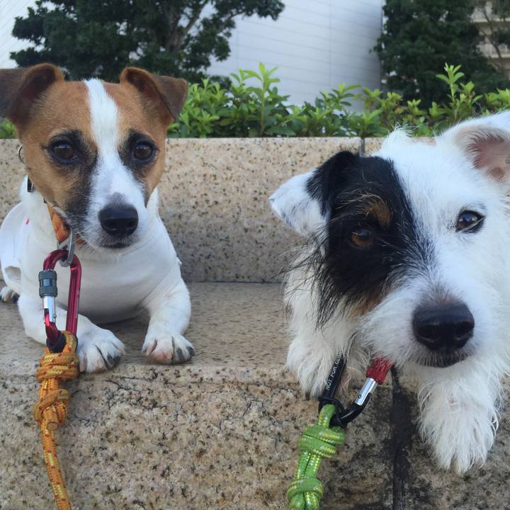 71a5fe87 11c5 4118 b729 b9e2aa7869d7