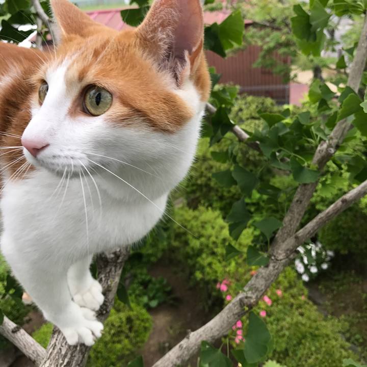 71a6b180 ee3f 4ed2 9b15 f1bb682c9ec5