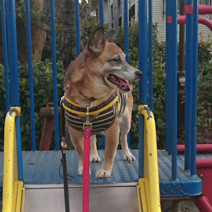 71a6dcbd 608f 4ebc a561 a21ddbf87257