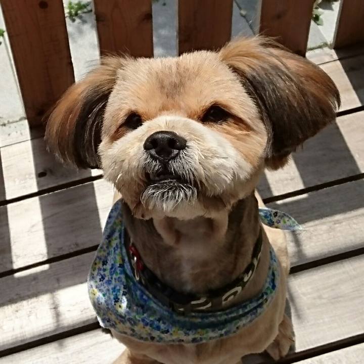 71a79a99 3346 4348 8099 e121d655d560