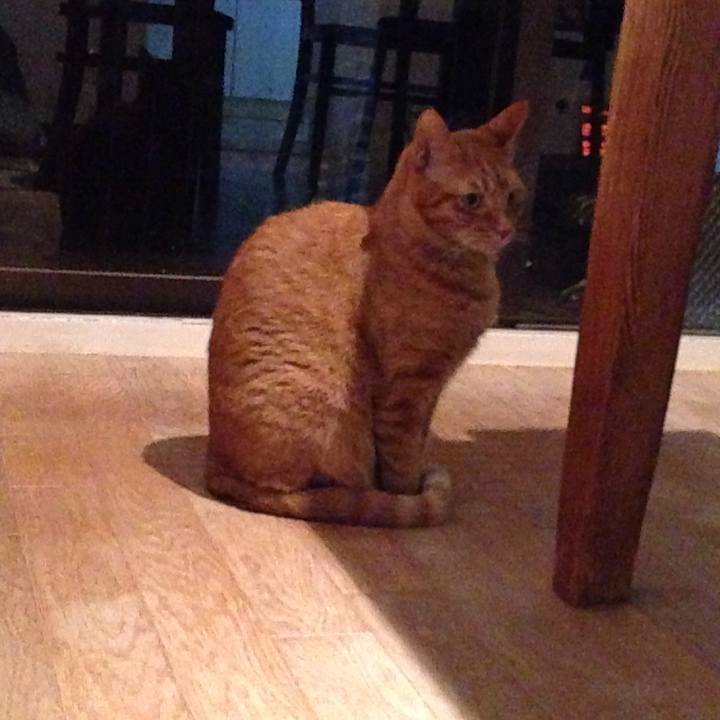 71a818bc d4bf 49ee a392 770aefe40650