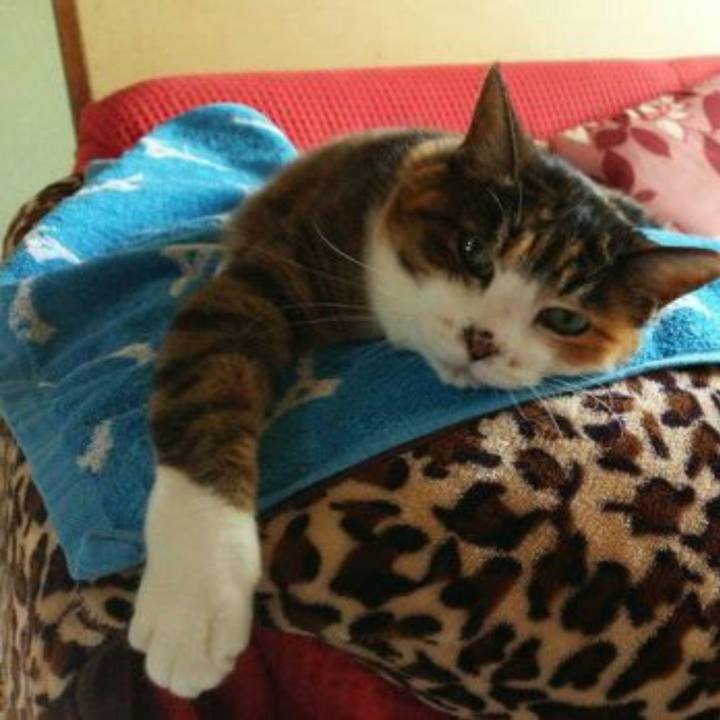 71a9072b 5586 40b7 ae71 646caadb3626