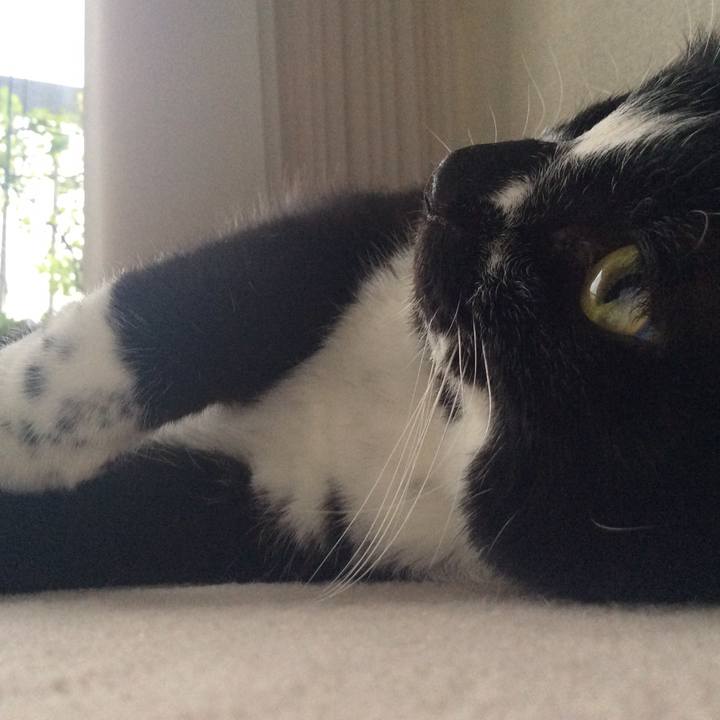 71a9153a 60f1 46aa 8347 fe6b15582bd8