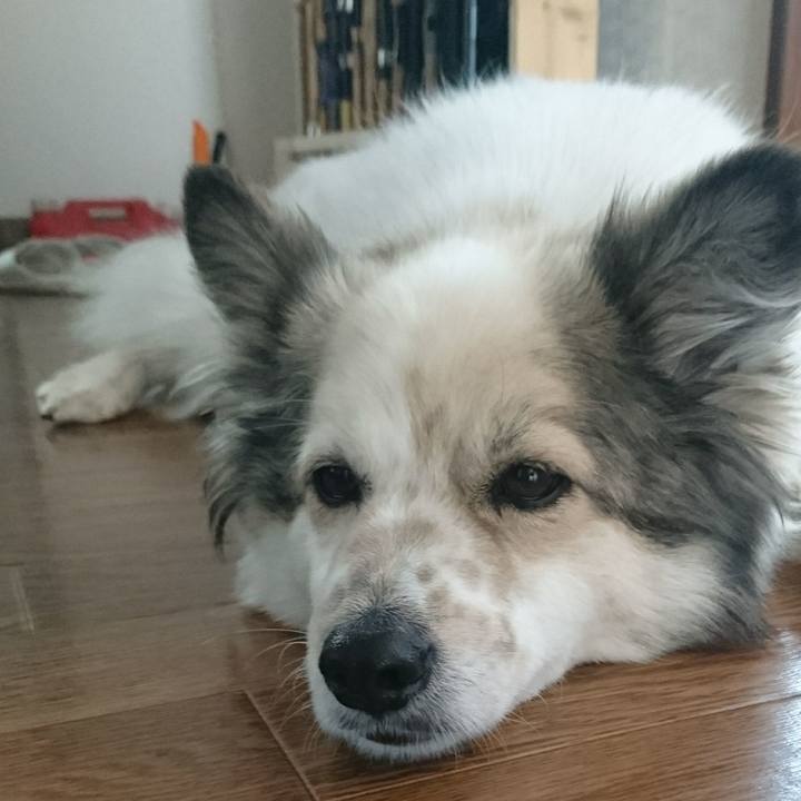 71a95495 0f99 4462 ad9f 52433c14ef7f