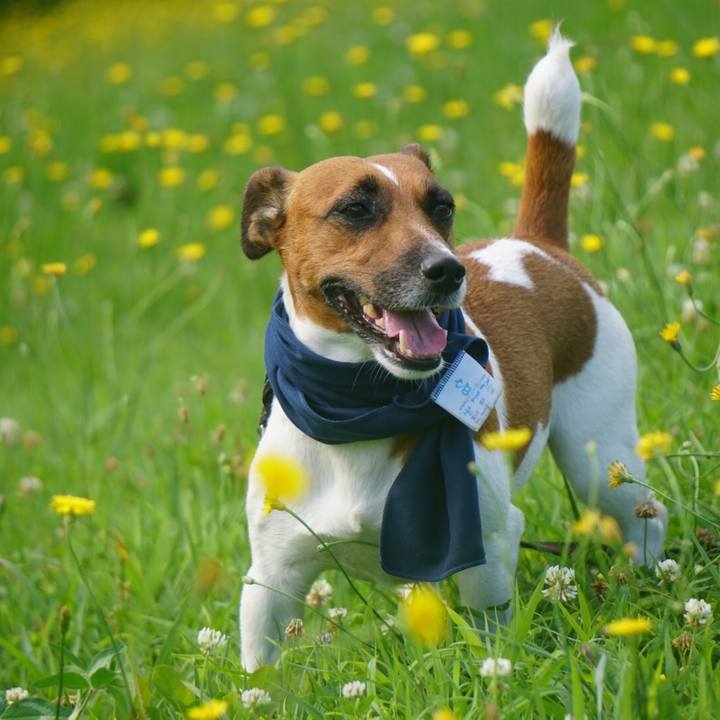 71a9ac0e 2bfa 4b74 8ad4 a31213be0b57