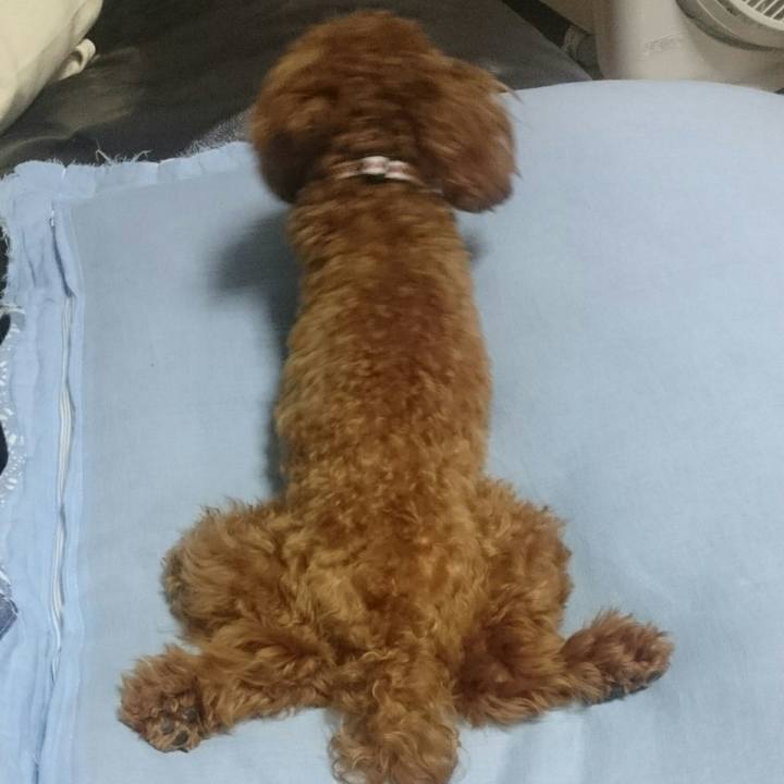 71a9c79e dae5 4202 8fb1 4cedbedf059d