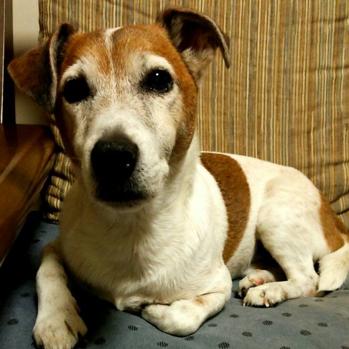 71a9fcbf b43d 4252 b5f2 f9e515966d89