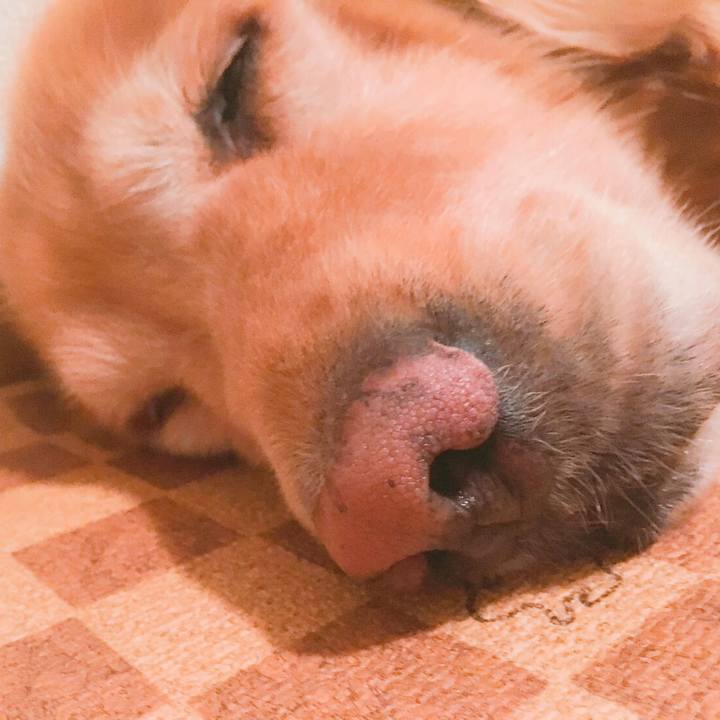 71ab3ce4 0952 4304 b979 16509041b42b