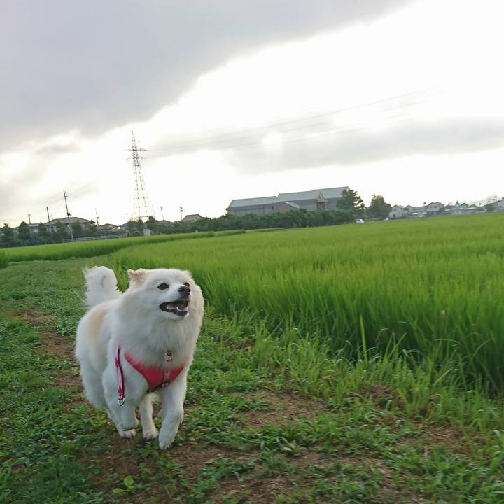 71abbc8a f60a 4740 806a d25b8d9b41a2