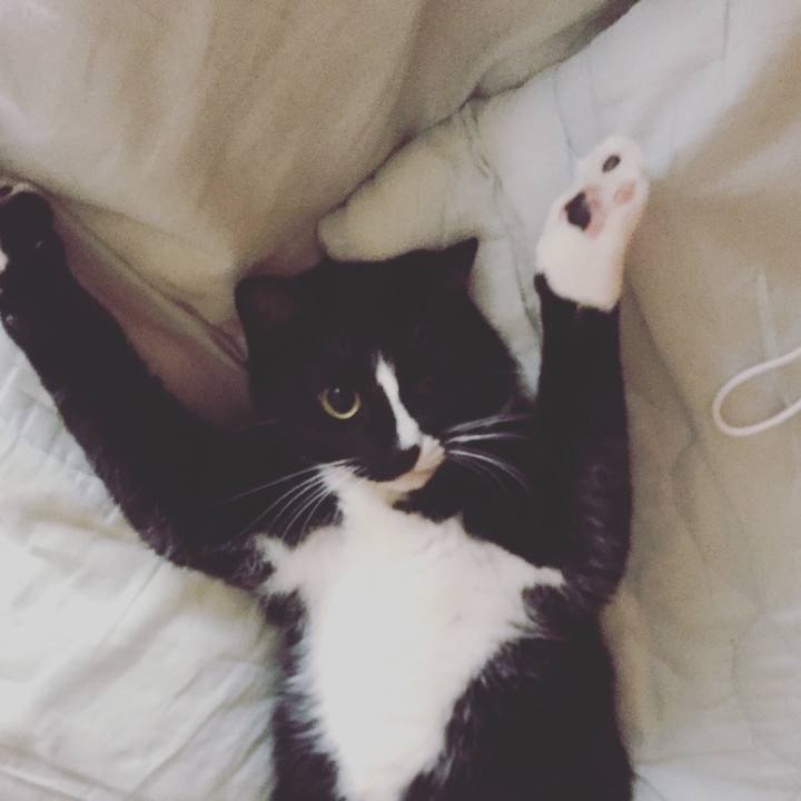 71abfa25 7bfe 4218 8211 116e205c5d7f