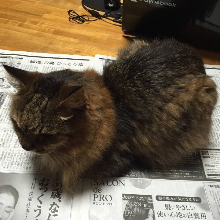 71acc5bd 0dfc 4745 8f08 5aa93d62dcbb