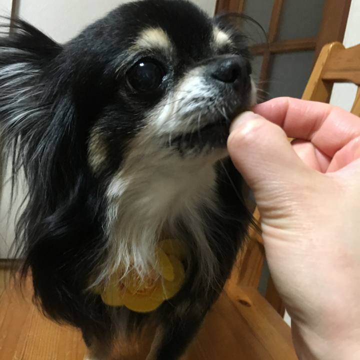 71ad0f17 6856 4c8a a053 17459dddb5a4