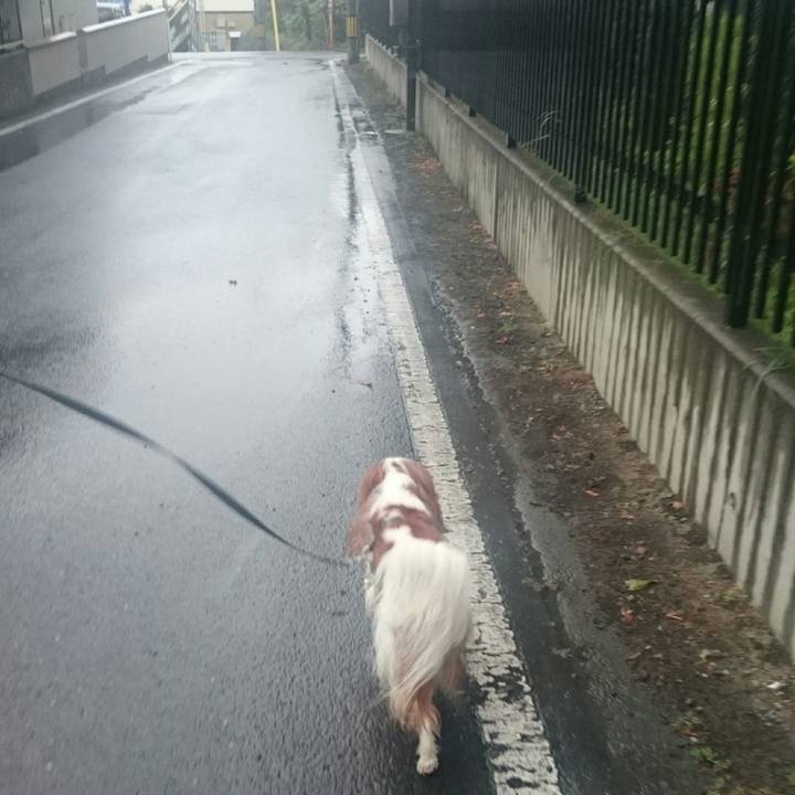 71ad3e5b b541 44b8 a26e c0da2bfeb802