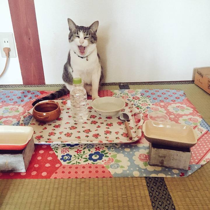 71ae3f50 cc06 4564 9597 01f8e7caef2d