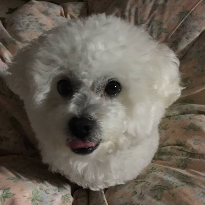 71ae8ec1 e893 4d1b 8401 629a3fe9341d